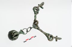 Foto von Bronzetrense (NHMW-PRAE-024293)